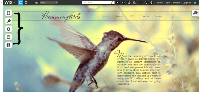 projects-wix-editor