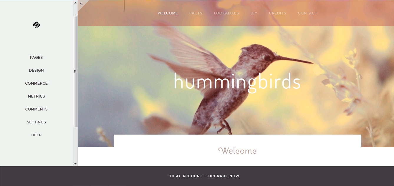 projects-squarespace-squarespace-editor